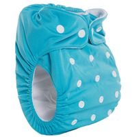 Fancy Pants Bamboo Nappy with Microfibre Inserts, Splash (Turquoise)